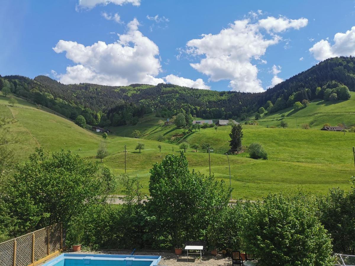 Ferienwohnung Vogelsang Im Schwarzwald Мюнстерталь Екстер'єр фото