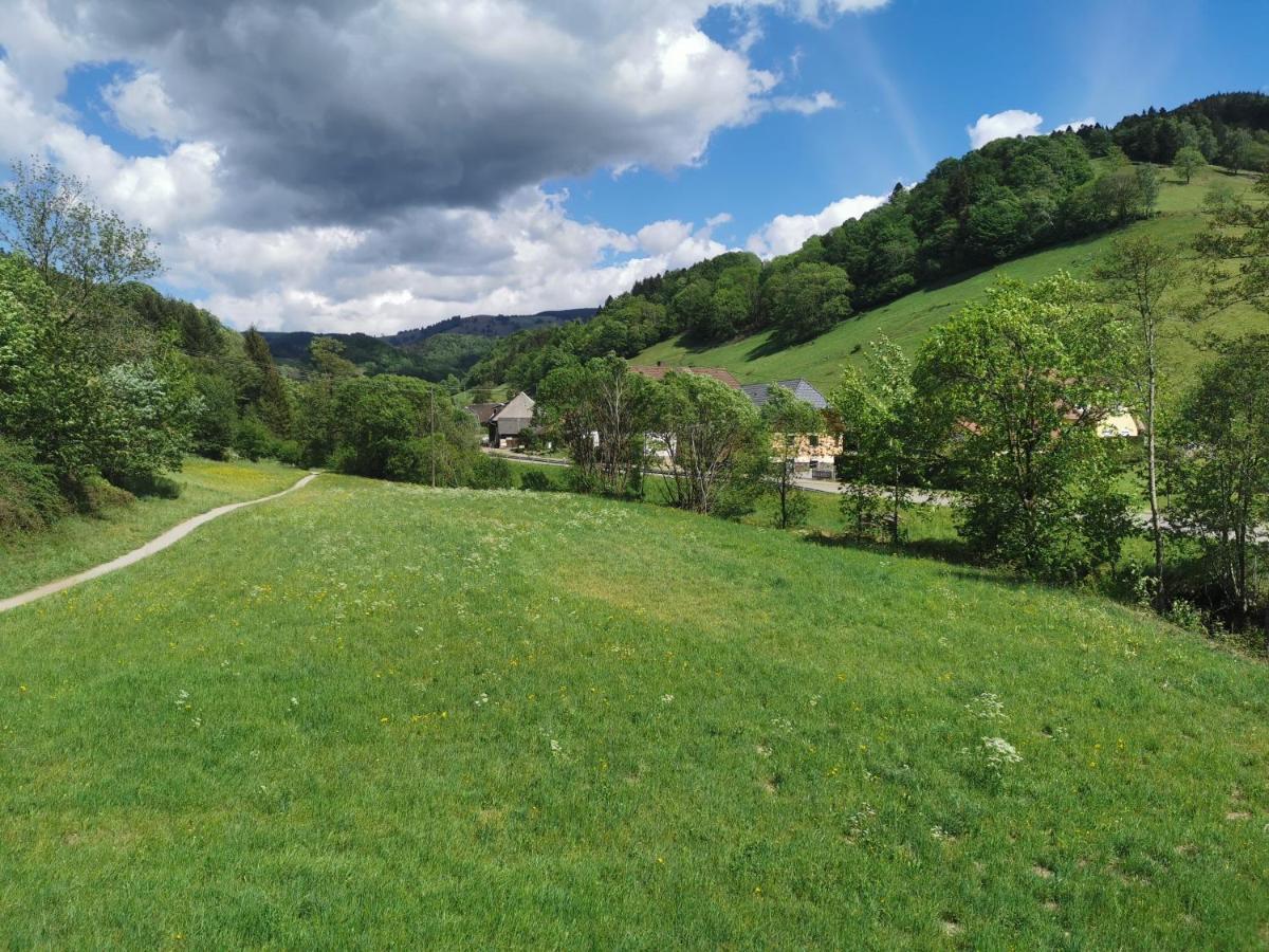 Ferienwohnung Vogelsang Im Schwarzwald Мюнстерталь Екстер'єр фото