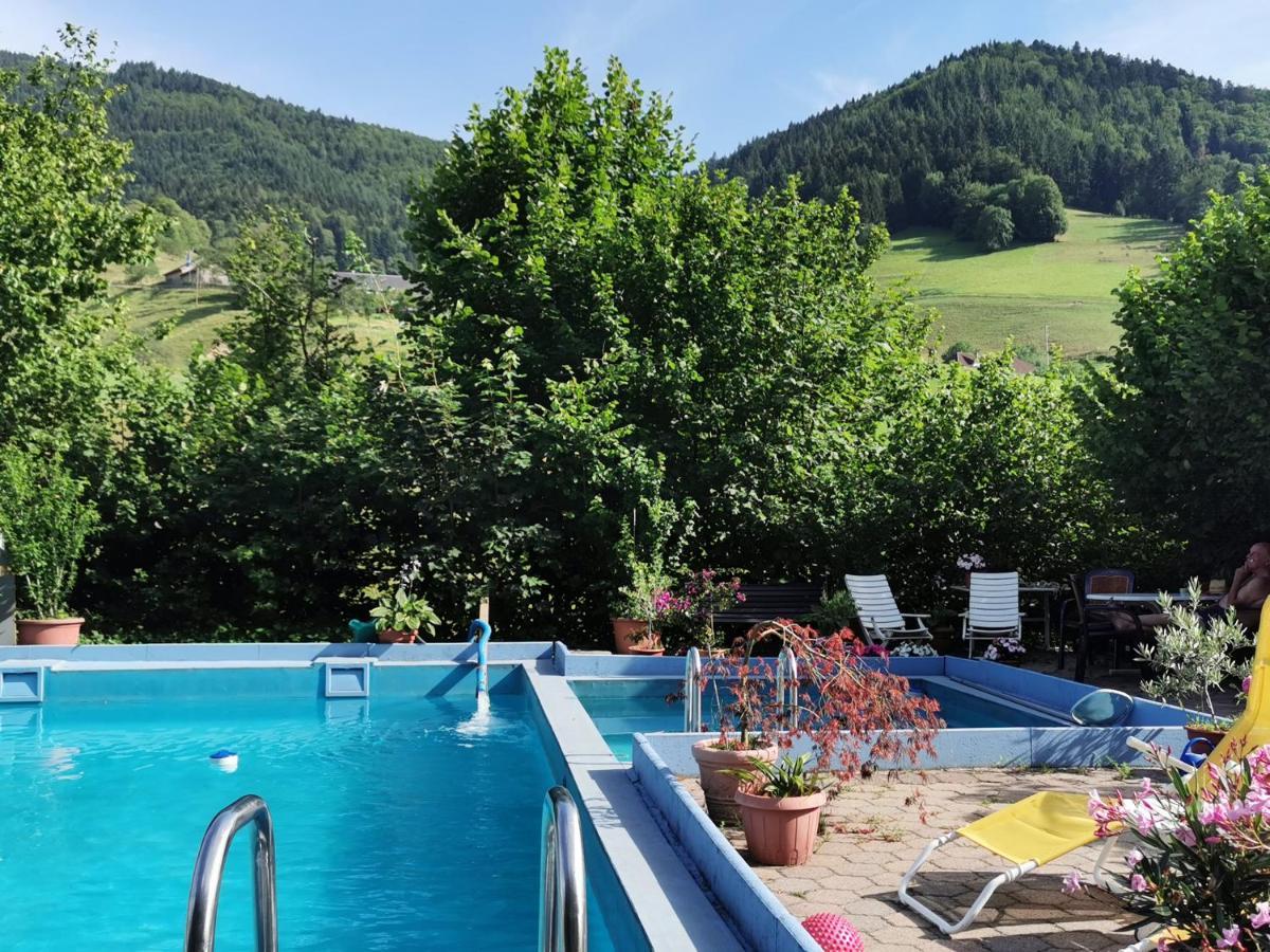 Ferienwohnung Vogelsang Im Schwarzwald Мюнстерталь Екстер'єр фото