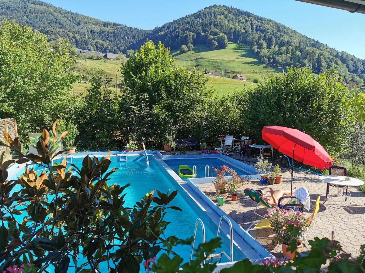 Ferienwohnung Vogelsang Im Schwarzwald Мюнстерталь Екстер'єр фото