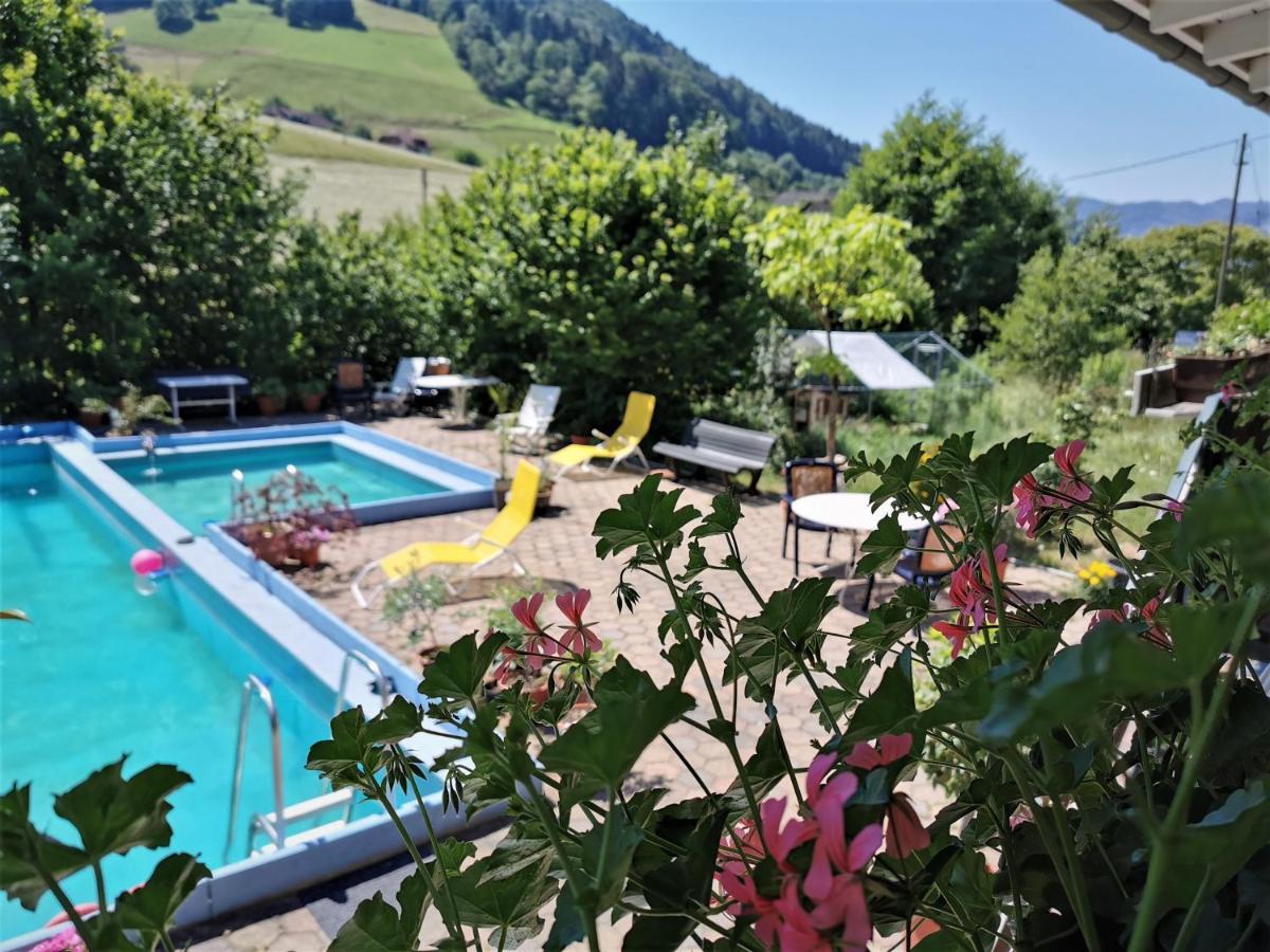 Ferienwohnung Vogelsang Im Schwarzwald Мюнстерталь Екстер'єр фото