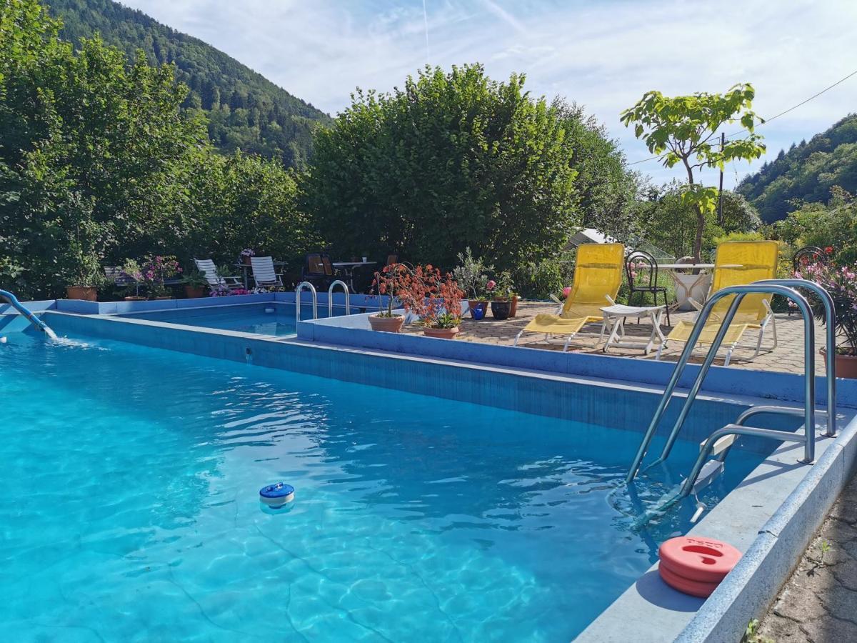 Ferienwohnung Vogelsang Im Schwarzwald Мюнстерталь Екстер'єр фото
