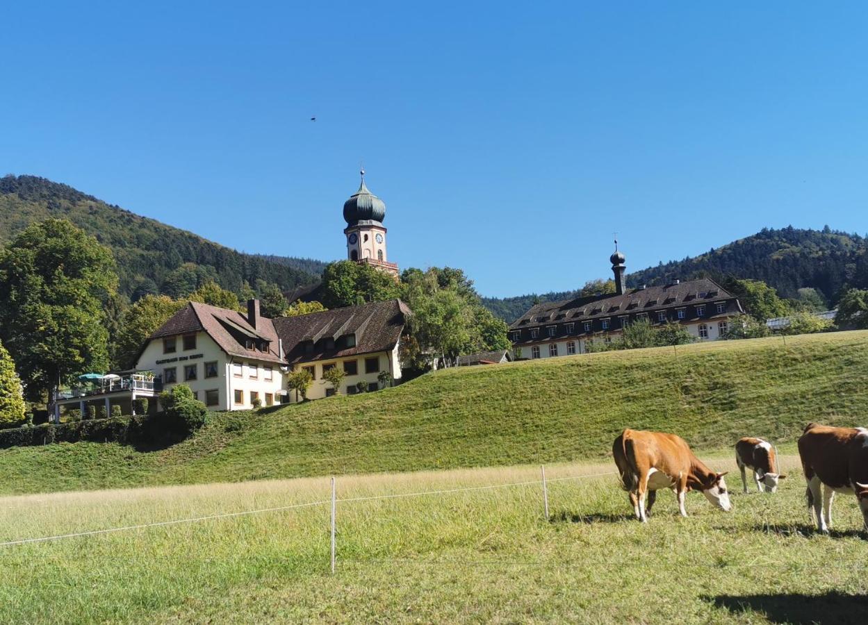 Ferienwohnung Vogelsang Im Schwarzwald Мюнстерталь Екстер'єр фото