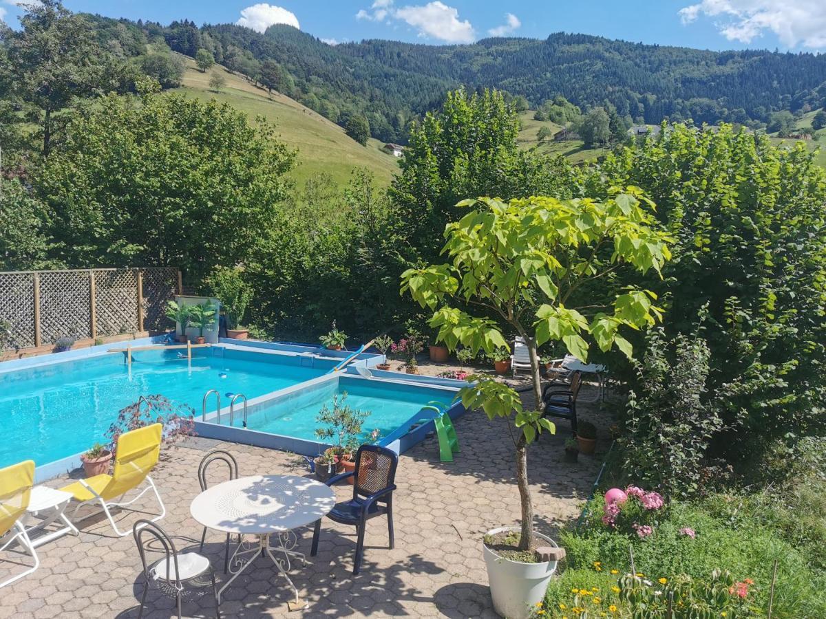 Ferienwohnung Vogelsang Im Schwarzwald Мюнстерталь Екстер'єр фото