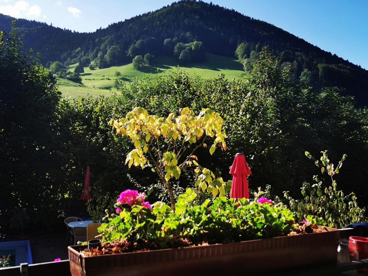 Ferienwohnung Vogelsang Im Schwarzwald Мюнстерталь Екстер'єр фото
