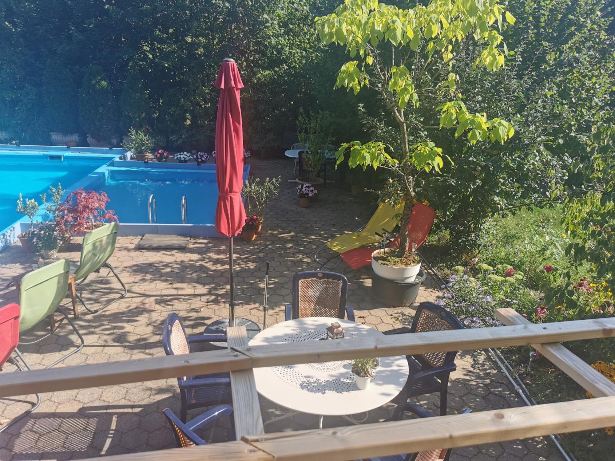 Ferienwohnung Vogelsang Im Schwarzwald Мюнстерталь Екстер'єр фото
