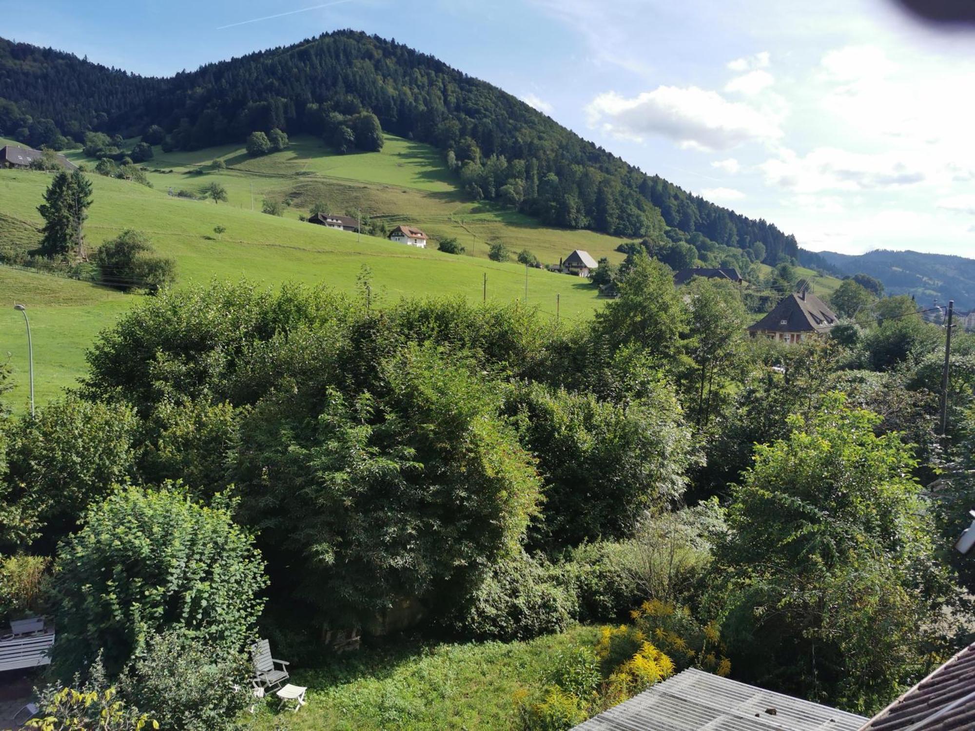 Ferienwohnung Vogelsang Im Schwarzwald Мюнстерталь Екстер'єр фото